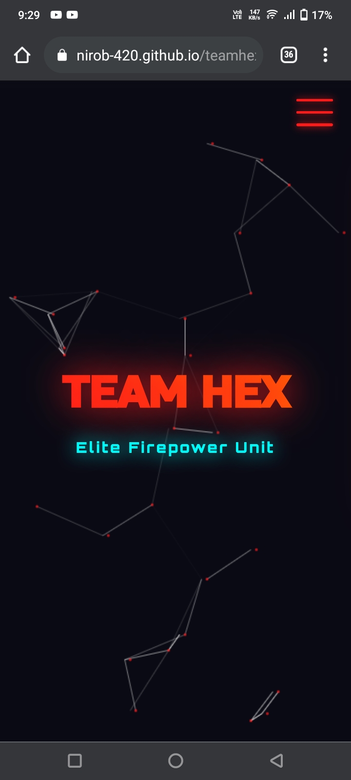 TEAM HEX